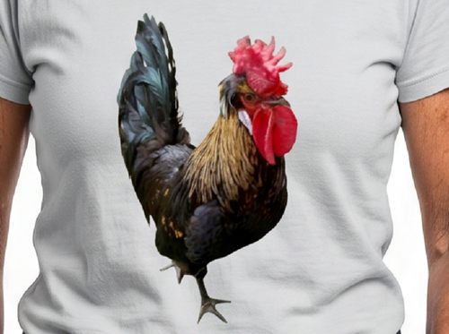 Rooster: "I SEE YOU" Unisex Cotton V-Neck Tee, S - 3XL